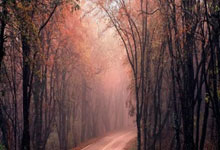 我国男队胜斯里兰卡 闯U20水球亚锦赛四强首进世锦赛.