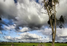 黑白体育:友谊赛-特雷泽盖进球德布劳内失误 比利时1-2埃及.