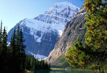 为西藏地震灾区捐款的三位体育明星点赞.