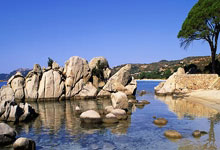 黑白体育：友谊赛-特雷泽盖进球德布劳内失误 比利时1-2埃及.